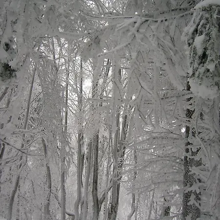 Ubytování v soukromí Pod Babkami Tylicz