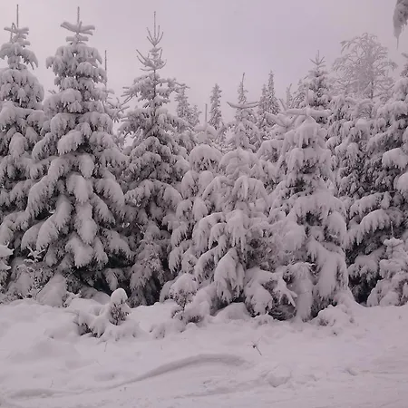 Pod Babkami * Tylicz