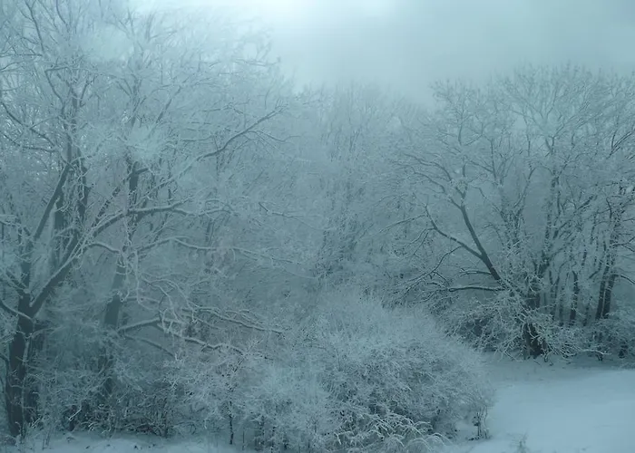 Pod Babkami בית אירוח