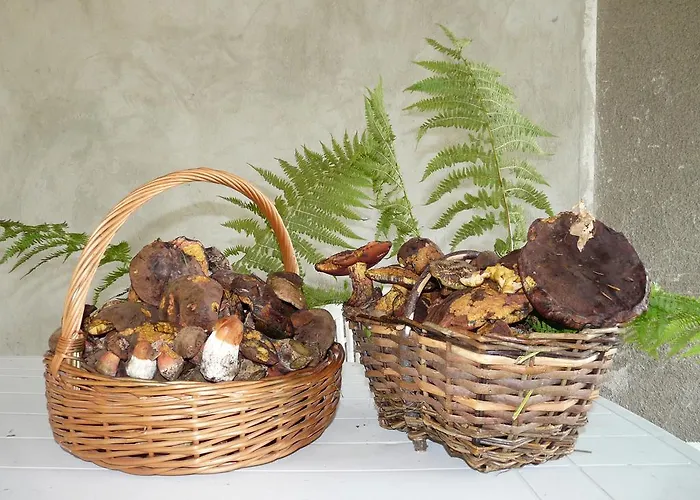 Pod Babkami בית אירוח טליץ'