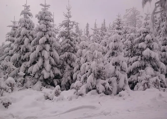 Pod Babkami * טליץ'